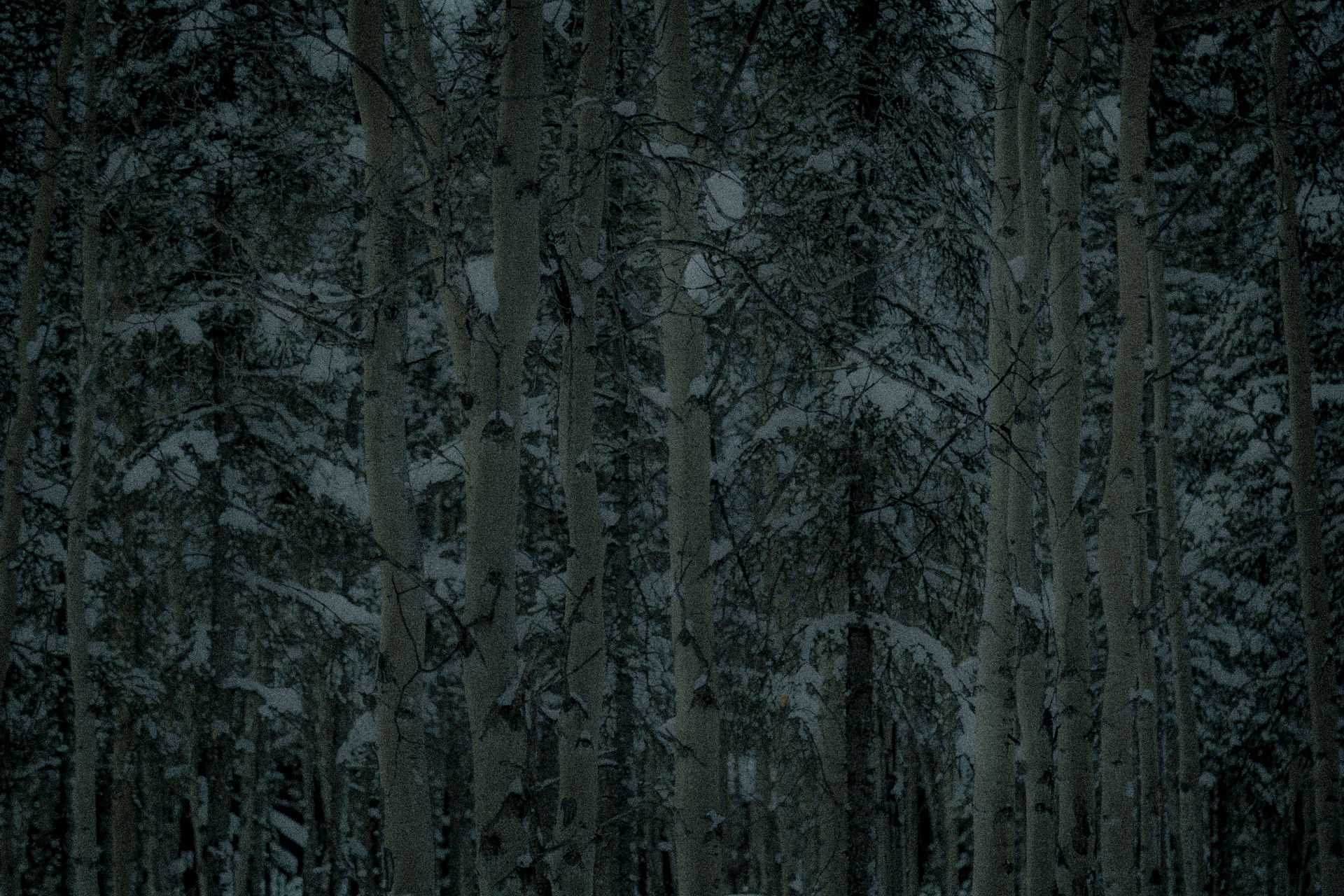 Photograph from UNNAMED DARKNESS